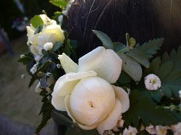 2006.12.28 018.jpg